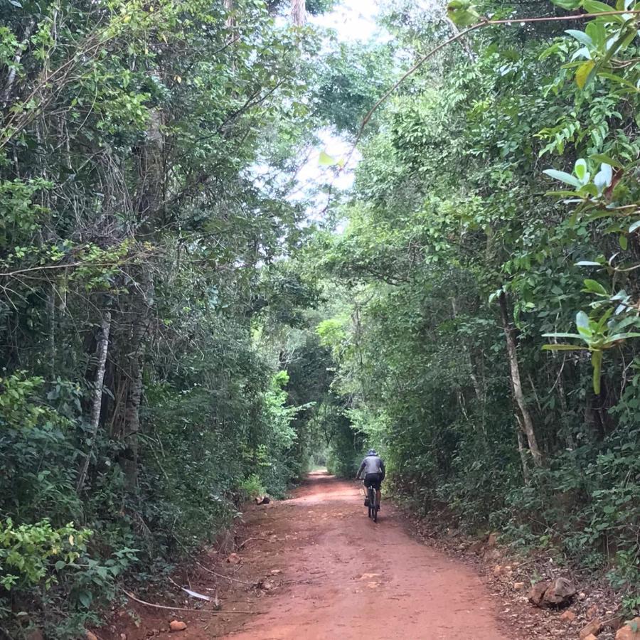 Refugio No Meio Da Natureza - Chale Pe De Serra Alto Paraíso de Goiás Eksteriør billede